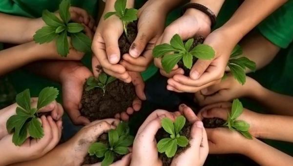 DOCÊNCIA NA EDUCAÇÃO AMBIENTAL