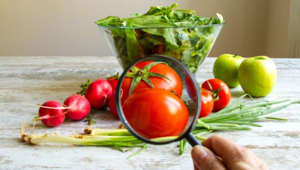 VIGILÂNCIA SANITÁRIA E QUALIDADE DE ALIMENTOS