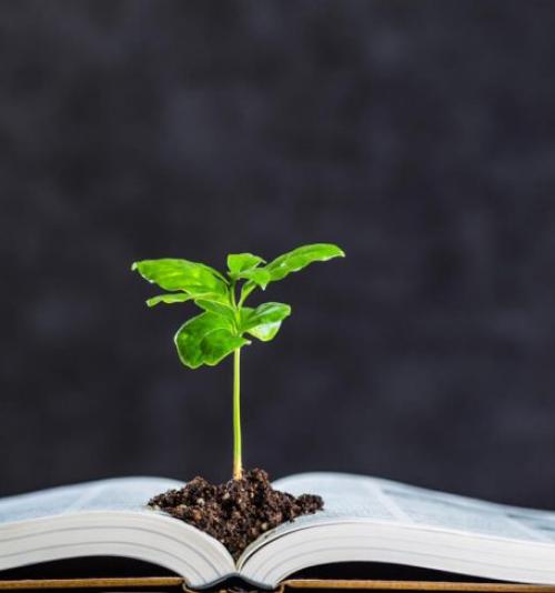 GESTÃO DE PROJETOS EM EDUCAÇÃO AMBIENTAL