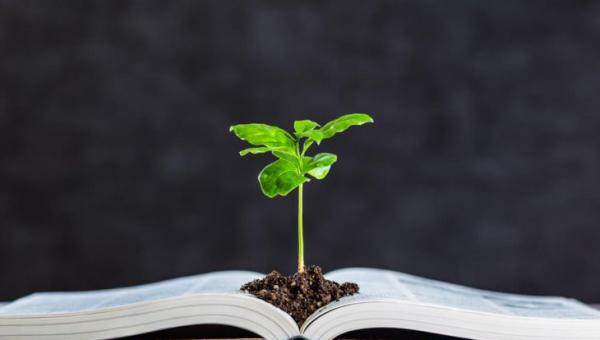 GESTÃO DE PROJETOS EM EDUCAÇÃO AMBIENTAL