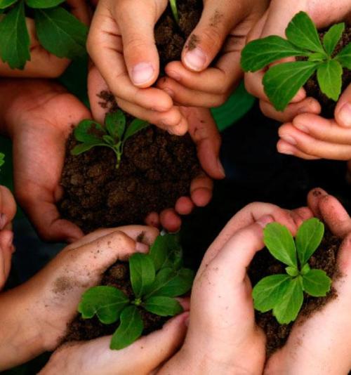 GESTÃO DE EQUIPES E GESTÃO AMBIENTAL