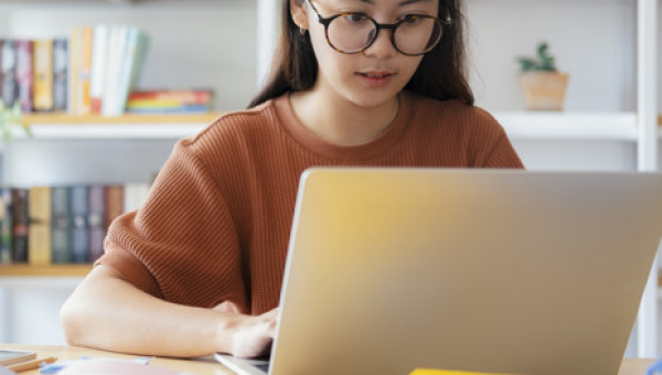 DOCÊNCIA ONLINE - PROCESSOS DE MEDIAÇÃO, MONITORAMENTO E INTERAÇÃO