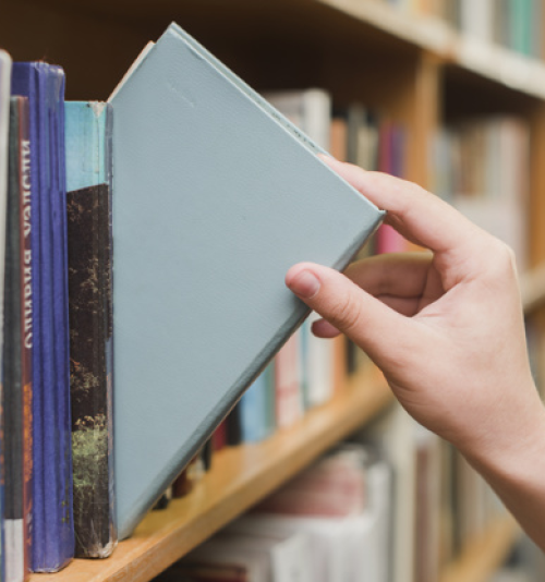 LEITURA E FORMAÇÃO DE LEITORES EM BIBLIOTECAS DE EDUCAÇÃO BÁSICA