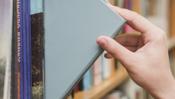 LEITURA E FORMAÇÃO DE LEITORES EM BIBLIOTECAS DE EDUCAÇÃO BÁSICA