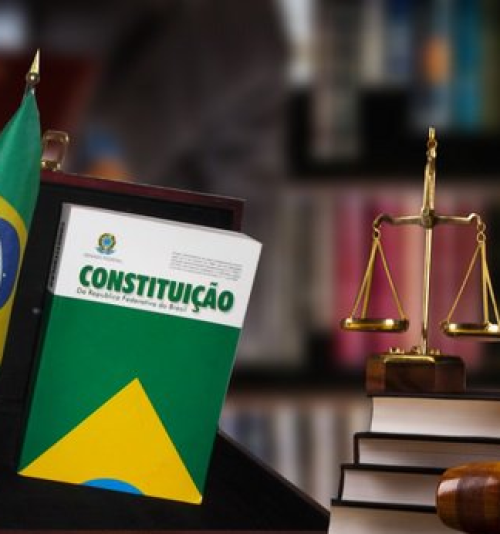 DIREITO CONSTITUCIONAL