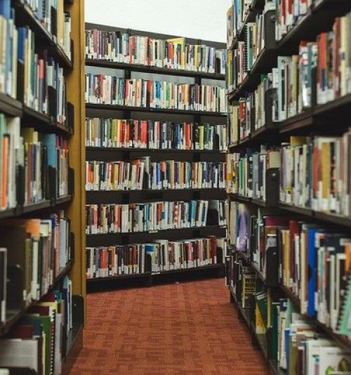 GESTÃO DE BIBLIOTECAS ESCOLARES