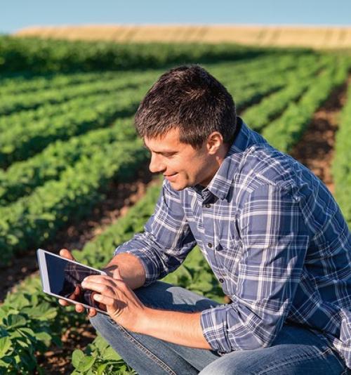 MBA EXECUTIVO EM GESTÃO DE CIDADES E AGRONEGÓCIOS