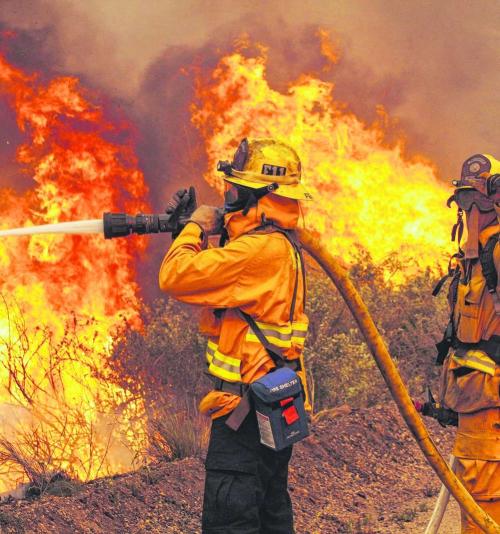 PREVENÇÃO E COMBATE A INCÊNDIOS FLORESTAIS