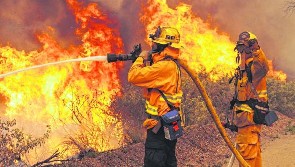 PREVENÇÃO E COMBATE A INCÊNDIOS FLORESTAIS