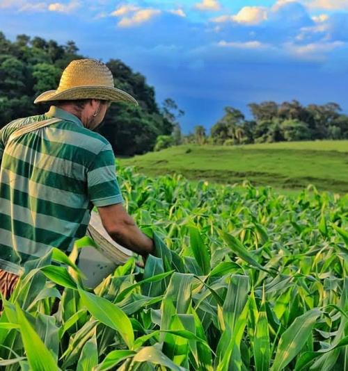 PRODUÇÃO E DESENVOLVIMENTO RURAL