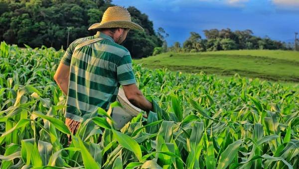 PRODUÇÃO E DESENVOLVIMENTO RURAL