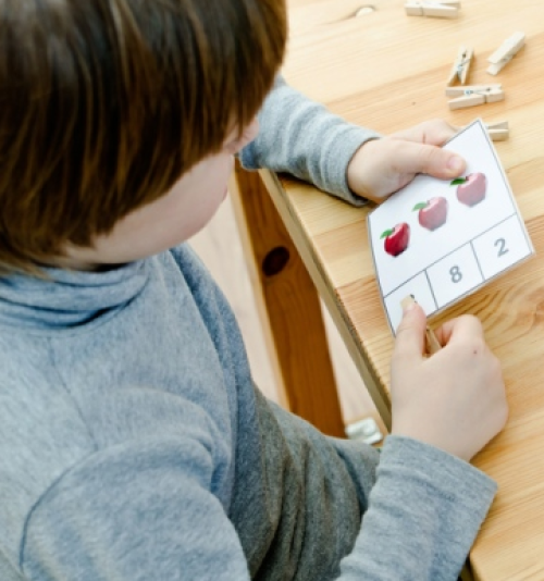 EDUCAÇÃO ESPECIAL E COMUNICAÇÃO ALTERNATIVA