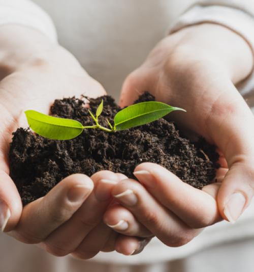 MEIO AMBIENTE E SUSTENTABILIDADE