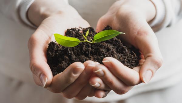 MEIO AMBIENTE E SUSTENTABILIDADE